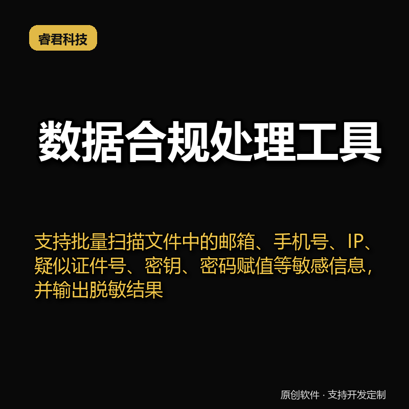 睿君数据合规处理工具