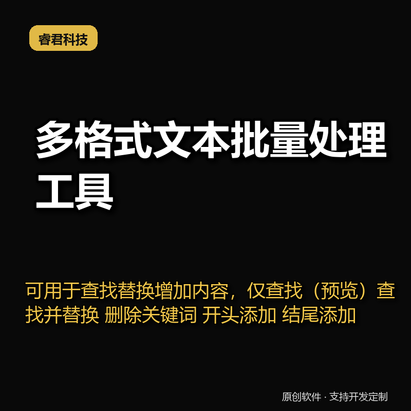 睿君多格式文本批量处理工具